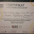 Powiększ obraz: certificate 7