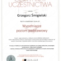 Powiększ obraz: certificate 9