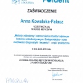 Powiększ obraz: certificate 21