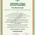Powiększ obraz: certificate 1