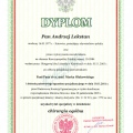 Powiększ obraz: certificate 2