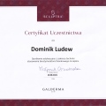 Powiększ obraz: certificate 103