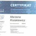 Powiększ obraz: certificate 4