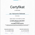 Powiększ obraz: certificate 5