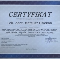 Powiększ obraz: certificate 8