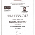 Powiększ obraz: certificate 45