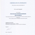Powiększ obraz: certificate 8