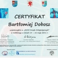 Powiększ obraz: certificate 12