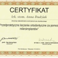 Powiększ obraz: certificate 12