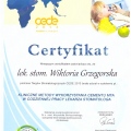 Powiększ obraz: certificate 8