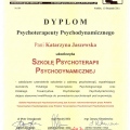 Powiększ obraz: certificate 1