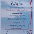 Powiększ obraz: certificate 8