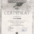 Powiększ obraz: certificate 5