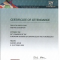 Powiększ obraz: certificate 2