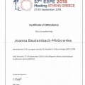 Powiększ obraz: certificate 12