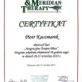 Powiększ obraz: certificate 14