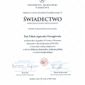 Powiększ obraz: certificate 13