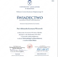 Powiększ obraz: certificate 3