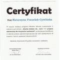 Powiększ obraz: certificate 1