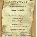 Powiększ obraz: certificate 11
