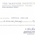 Powiększ obraz: certificate 2