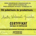 Powiększ obraz: certificate 26