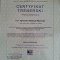 Powiększ obraz: certificate 1