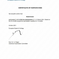 Powiększ obraz: certificate 91