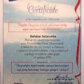 Powiększ obraz: certificate 13