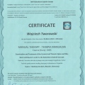 Powiększ obraz: certificate 6