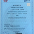 Powiększ obraz: certificate 4