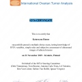 Powiększ obraz: certificate 2