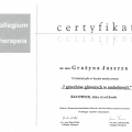 Powiększ obraz: certificate 16