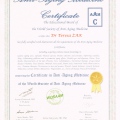 Powiększ obraz: certificate 1