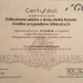 Powiększ obraz: certificate 7