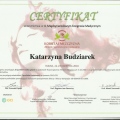 Powiększ obraz: certificate 14