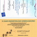 Powiększ obraz: certificate 13