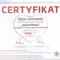 Powiększ obraz: certificate 3