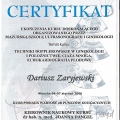 Powiększ obraz: certificate 6