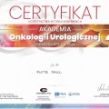 Powiększ obraz: certificate 24