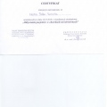 Powiększ obraz: certificate 4