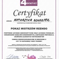 Powiększ obraz: certificate 12