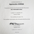 Powiększ obraz: certificate 8