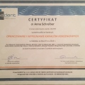 Powiększ obraz: certificate 8