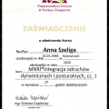 Powiększ obraz: certificate 9