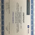 Powiększ obraz: certificate 36
