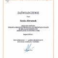 Powiększ obraz: certificate 1