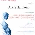 Powiększ obraz: certificate 5