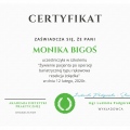 Powiększ obraz: certificate 21
