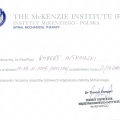 Powiększ obraz: certificate 25
